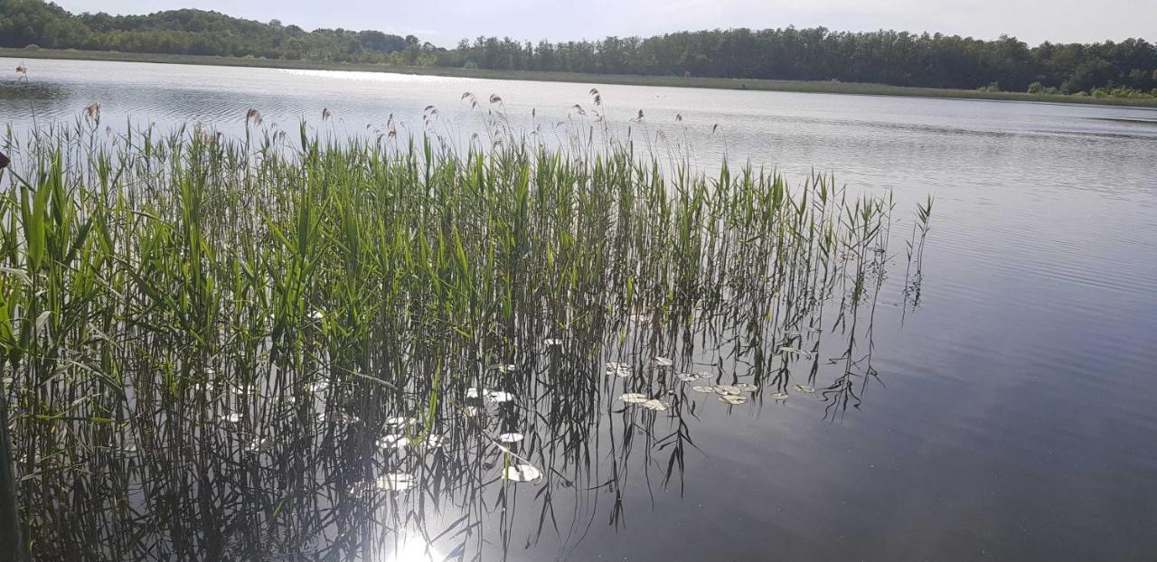Ferienresidenz Naturoase Krakow am See Bagian luar foto