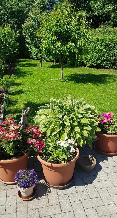 Ferienresidenz Naturoase Krakow am See Bagian luar foto