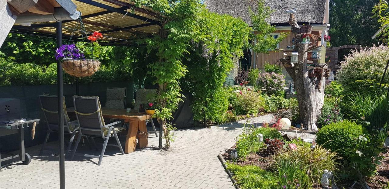 Ferienresidenz Naturoase Krakow am See Bagian luar foto